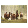 Horses cresting small hill during roundup, 2