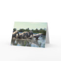 Horses Crossing Water cards