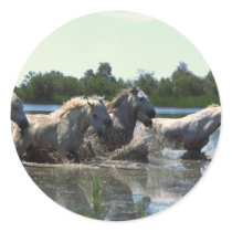 Horses Crossing Water stickers by HorseLoversGifts Horses Crossing Water stickers