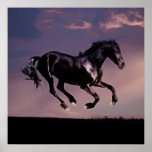 Horses Dance silhouette at sunset Posters
