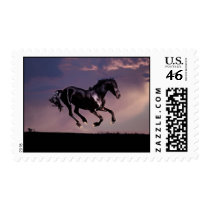 Horses Dance silhouette at sunset Stamps