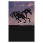 Horses Dance silhouette at sunset Customized Stationery