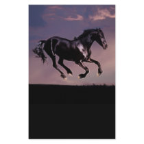 Horses Dance silhouette at sunset Customized Stationery