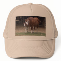 Horses Design hats by patcallum Horses Design hats