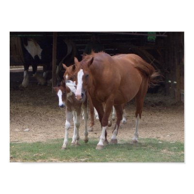 Horses Design Print by patcallum