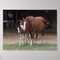 Horses Design Print