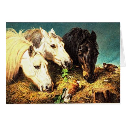 Horses eating hay card