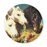 Horses eating hay magnet