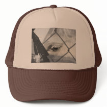 Horse's Eye hats by flyingdisc Horse's Eye hats