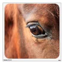 Horse's Eye Wall Decals