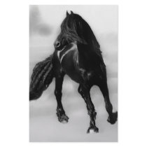 Horses glancing sideways custom stationery