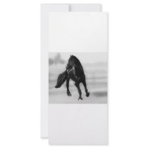Horses glancing sideways customized rack card