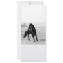 Horses glancing sideways customized rack card