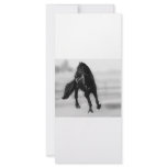 Horses glancing sideways customized rack card