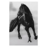Horses glancing sideways custom stationery