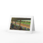Horses Going to the Post at Race Track cards