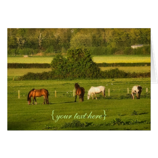 Horses grazing at Bower Hinton, Somerset Greeting Card