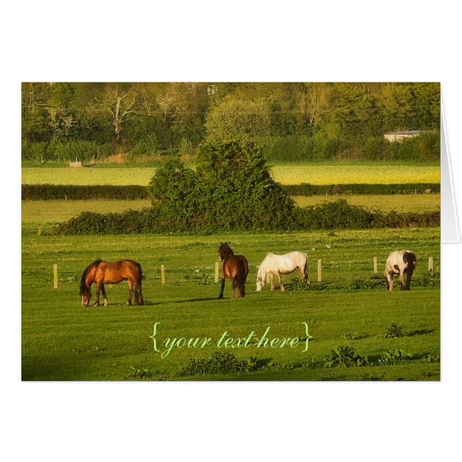 Horses grazing at Bower Hinton, Somerset Greeting Card