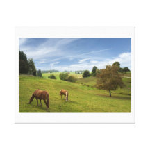 Horses grazing into the Black Forest Stretched Canvas Print