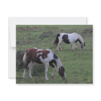 Horses Grazing invitations by A_Phoenix Horses Grazing invitations