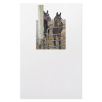 Horses Grazing Custom Stationery