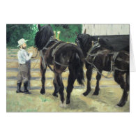 Horses Greeting Cards