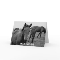 HORSES HAPPY BIRTHDAY card design
