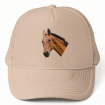 horses hats