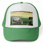 Horses Hats