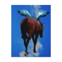 Horses Have Angels Too postcards by laureenr Horses Have Angels Too postcards