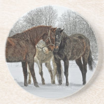 Horses Having a Meeting in Snow Coaster