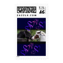 Horses & Hearts Postage,blue postage