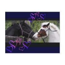 Horses & Hearts Postcards, blue