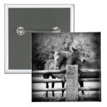Horses Hugging - Horse Love Photograph Pinback Buttons