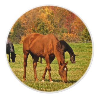 Horses in Autumn Ceramic Knob