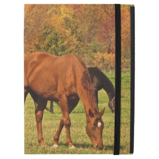 Horses in Autumn iPad Pro Case