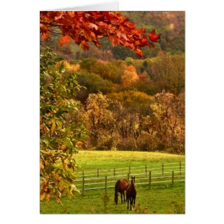 Horses in Autumn Thank You