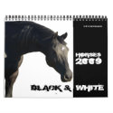 Horses in BLACK & WHITE 2009 Calendar