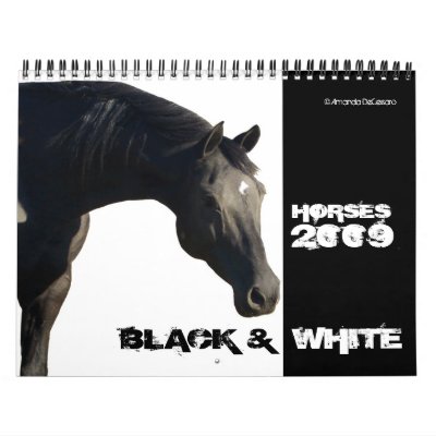 Horses in BLACK & WHITE Large 2009 Calendar by AmandaDeCesaro