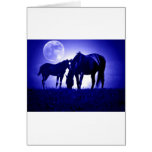 Horses in Blue Night Cards