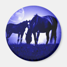 Horses in Blue Night Refrigerator Magnets