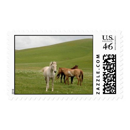 Horses in Field Postage