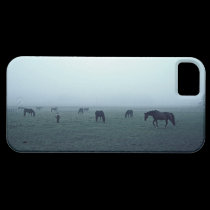 Horses in fog casemate cases