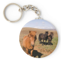 Horses in Krisuvik keychains