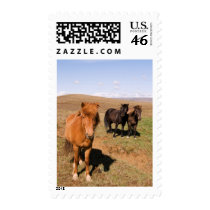 Horses in Krisuvik postage