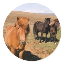 Horses in Krisuvik stickers