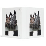 Horses in Love binders