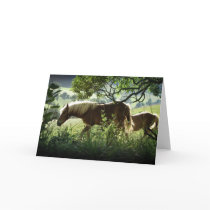 Horses In Meadow cards