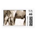 Horses in Motion postage (large) postage