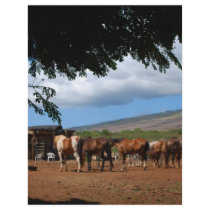 Horses In Paradise Flyer